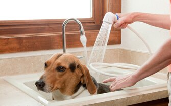 Rinse Ace Dog and Pet Bath Tub Mat, 17x35 